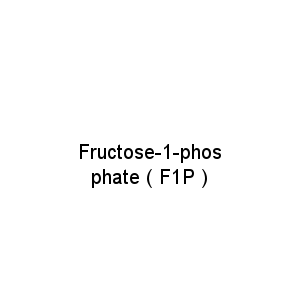 Fructose-1-phosphate ( F1P )